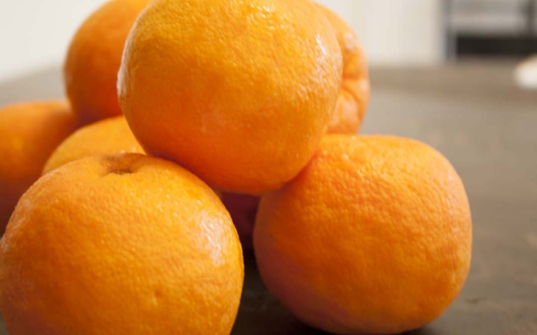 Seville Oranges are in!!!